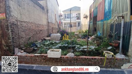 Lô Đất Cực Phẩm 71m2 Cổ Miếu – Thụy Lâm, 2 Mặt Tiền, Ô Tô Vào Tận Nơi