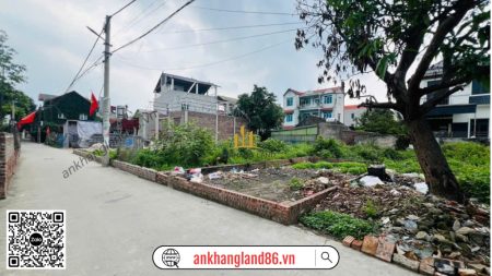 Bán Đất 48m2 Cổ Dương, Tiên Dương, Ngõ Thông, Ô Tô Đỗ Cửa