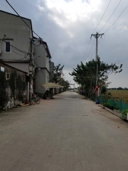 Lô Đất 40m2 Tại Thạc Quả – Dục Tú| Cách Cầu Tứ Liên 150m | Ngõ Ô Tô – Sổ Đỏ Chính Chủ