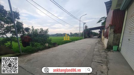 Lo Dat 99 M2 Nha 3 Tang Xuong Ngoc Loi Duc Tu Chi Viec Ve O Ngay 3