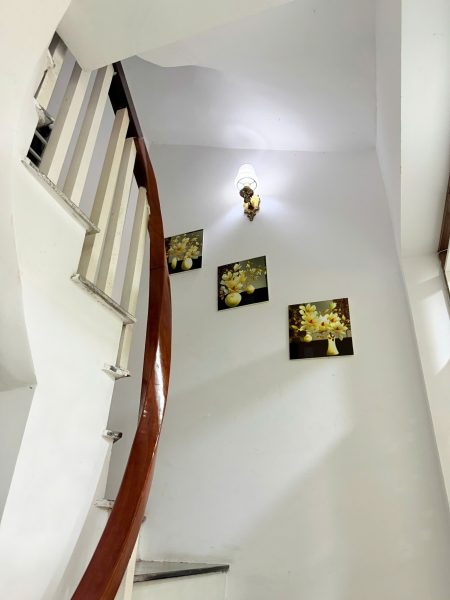 545308831 122425307822001396 9106610433428333916 N