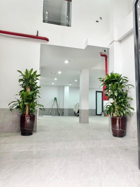 549034082 3690890947709246 2766714471043491006 N