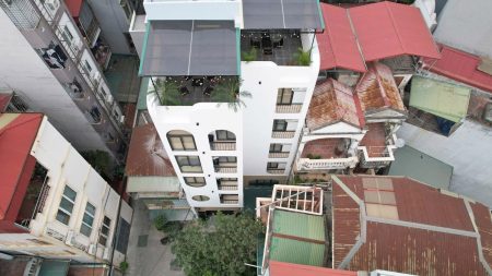 550221295 3690889854376022 4521332452183813850 N