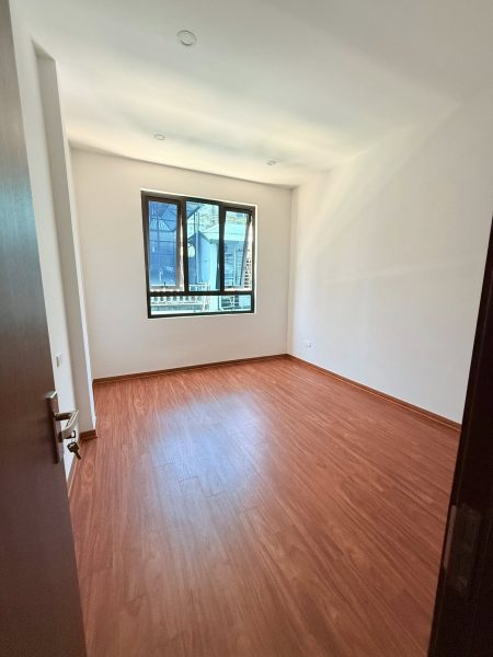 555367173 4186706258238417 7236799535714669816 N